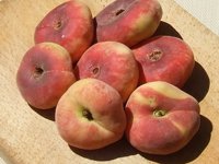 El Parlamento pide ayudas extraordinarias para los agricultores afectados por el veto ruso