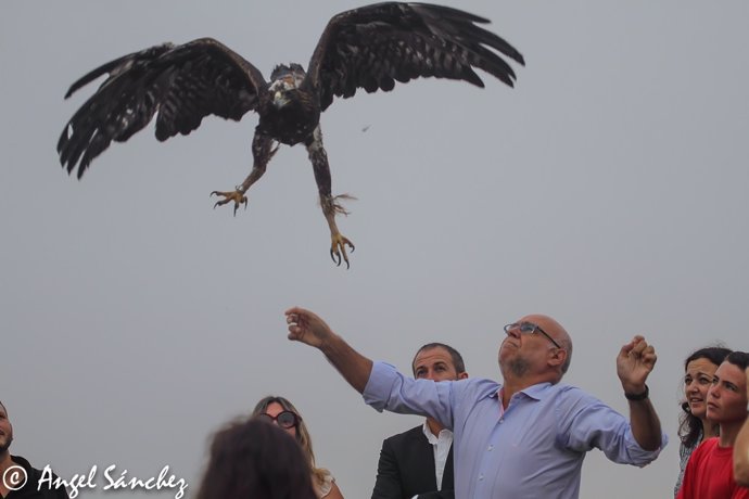 José Antonio Echávarri suelta un águila real