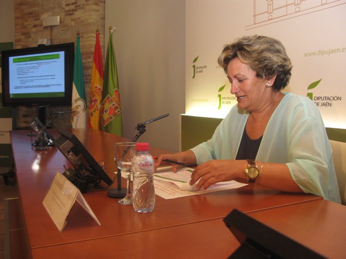 Presentación del balance del sistema de dependencia de la Diputación