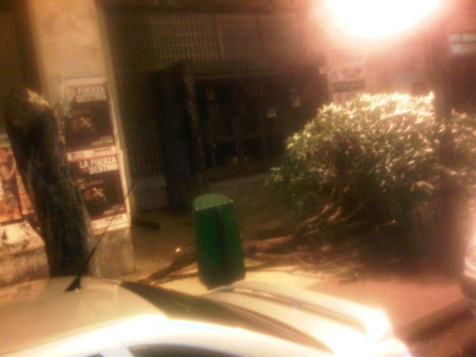 Un árbol caído por la tormenta en la calle Pío XII de Logroño