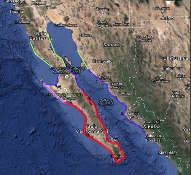 Declaran emergencia en Baja California Sur