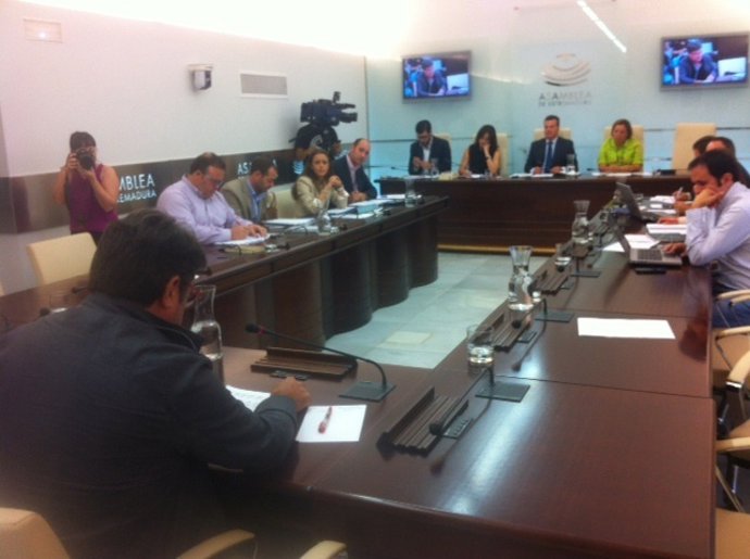 Julián Carretero en la comisión