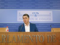 PP-A lamenta la "crisis permanente del bipartito" y exige a PSOE-A e IULV-CA que dejen de hablar "en clave electoral"