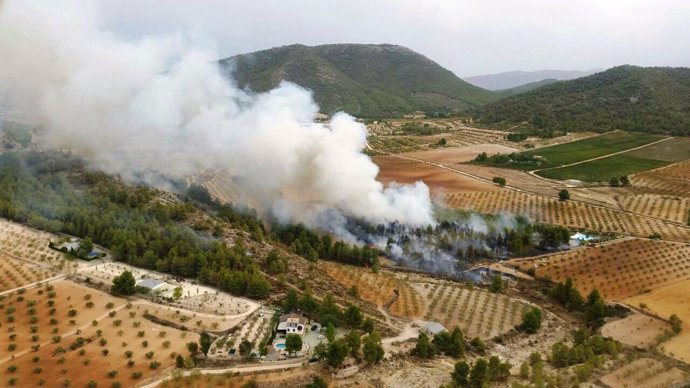 Imagen aérea del incendio forestal declarado en el paraje de La Parihuela
