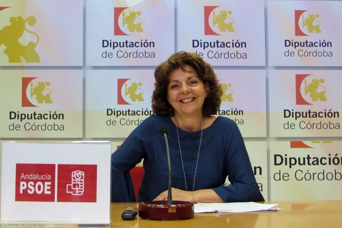 La portavoz adjunta del PSOE en la Diputación, Isabel Niñoles