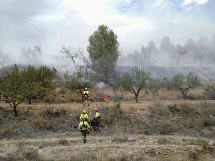Imagen del incendio declarado en el paraje de la Parihuela