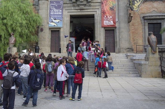Museo Casa de la Ciencia de Sevilla