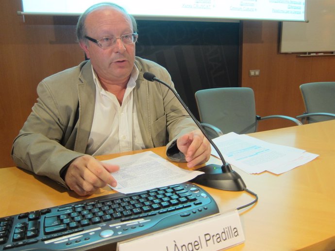 Miquel Àngel Pradilla, dtor.Xarxa Cruscat-Institut d'Estudis Catalans (IEC)