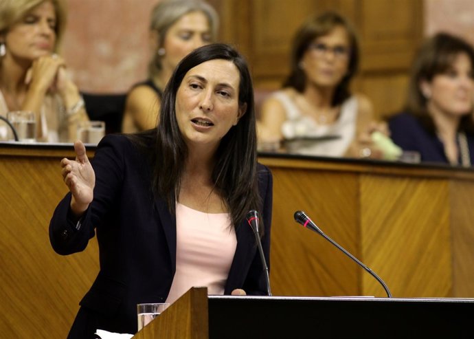 Dolores López, este miércoles ante el Pleno del Parlamento