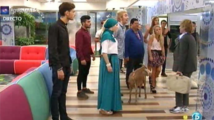 Nuevos concursantes de Gran hermano 