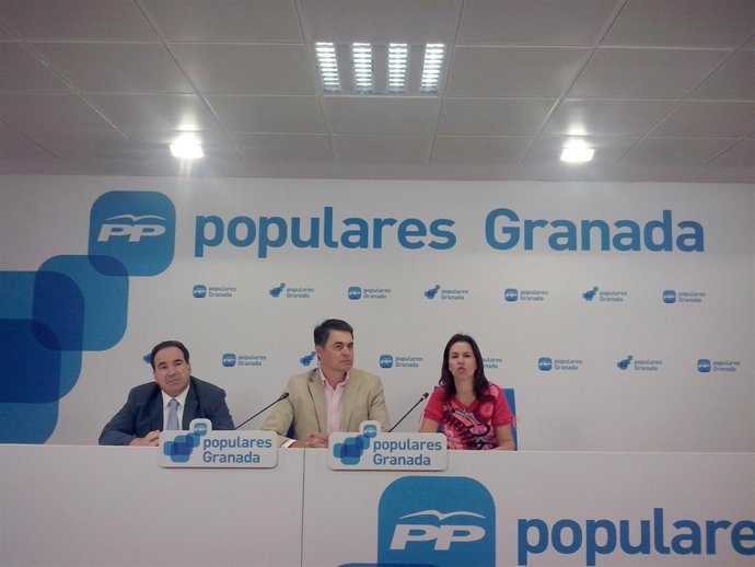 El portavoz del PP-A en rueda de prensa 