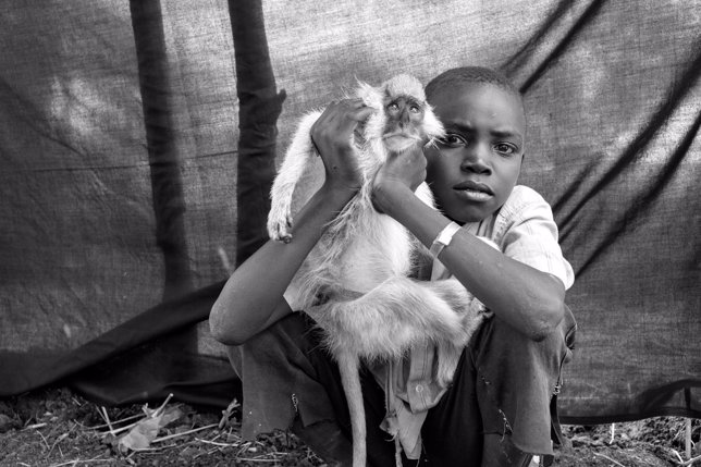 Ahmed, de 10 años, con su mascota Kako, en una fotografía de Brian Sokol