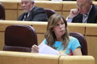 PP urge la comisión de investigación tras la imputación de dos hermanos de Puig por blanqueo en negocios con Pujol