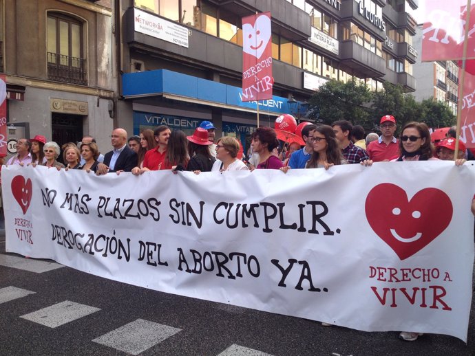 V Marcha por la Vida Madrid