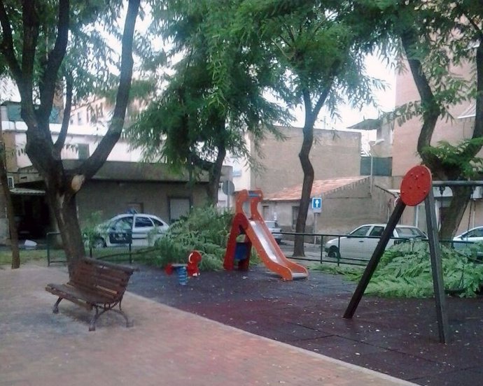 Caída de dos grandes ramas sobre los juegos infantiles de un parque en Espinardo