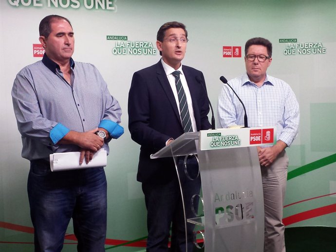 El PSOE anuncia una querella contra el alcalde de La Mojonera