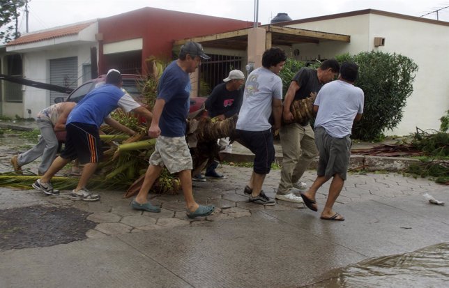 Residents carry a fallen tree on the street after Hurricane Odile hit La Paz, in