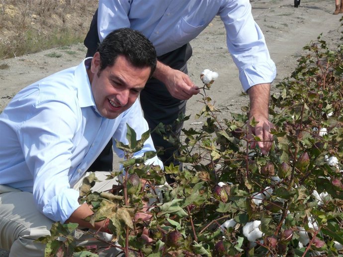 Juanma Moreno durante su visita a Los Palacios