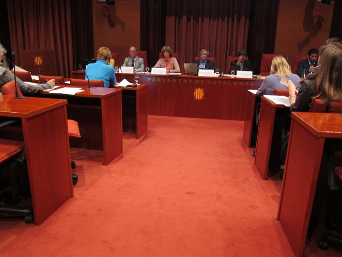 Consellera de Enseñanza de la Generalitat, Irene Rigau, en el Parlament