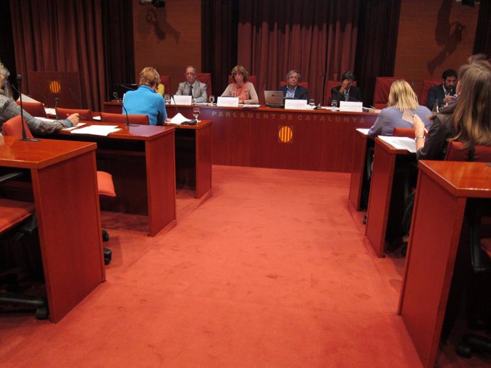 Consellera de Enseñanza de la Generalitat, Irene Rigau, en el Parlament