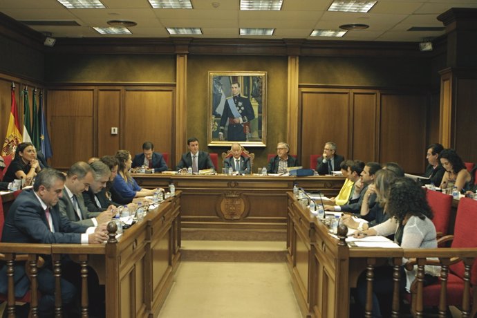 Sesión plenaria celebrada en la Diputación Provincial