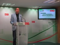 PSOE-A reitera que es "falso" un acuerdo con PSC en los ERE y dice que no permitirá que se manche el nombre del partido