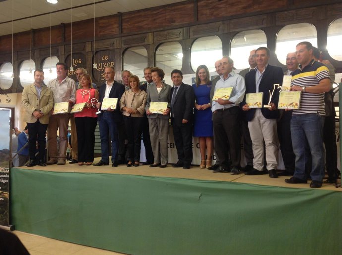 Fiesta del Olivar en Jódar