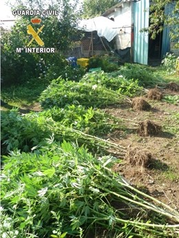 REMITIENDO COMUNICADOS DE PRENSA