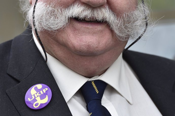 Simpatizante del partido populista euroescéptico UKIP