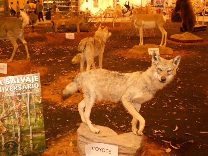 III edición de Surcaza