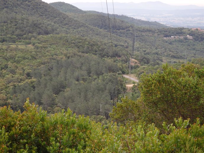 Mejora de una línea de alta tensión de Endesa en Girona