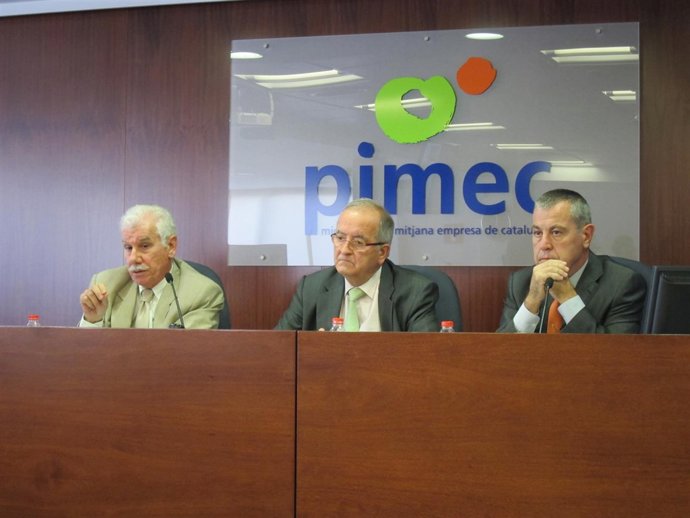 Pimec propone mejoras del modelo energético 