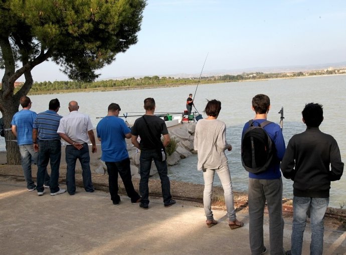 N.I. Balance Naturejea 2014