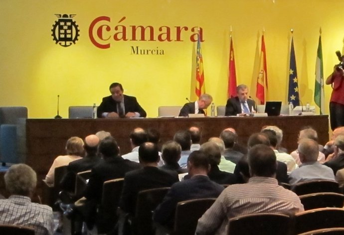 Reunión del Consejo del Agua de la Demarcación Hidrográfica del Segura 