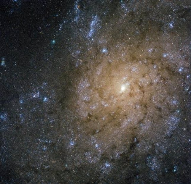 Galaxia NGC 7793