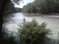 Continúan afectados seis municipios por la existencia de lindano en el río Gállego