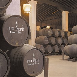 Bodega Tio Pepe 