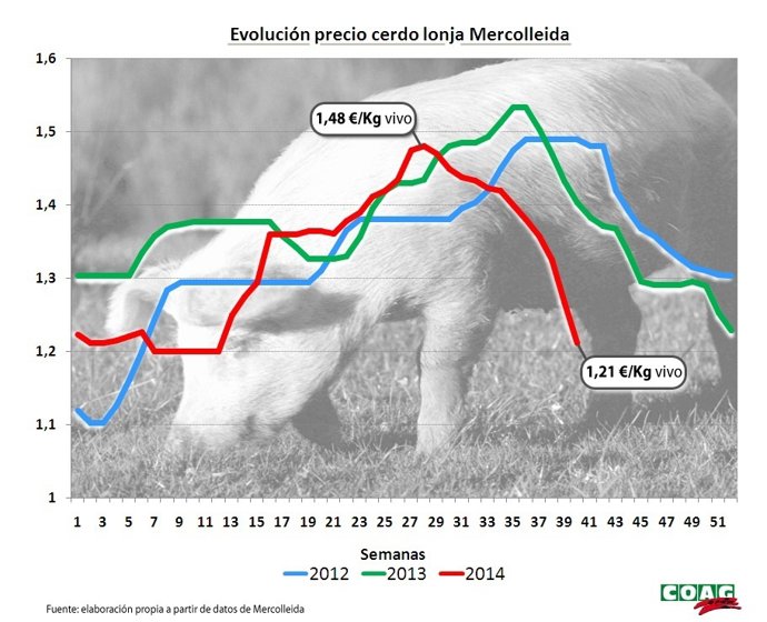 Gráfico de evolución de precios cerdo 