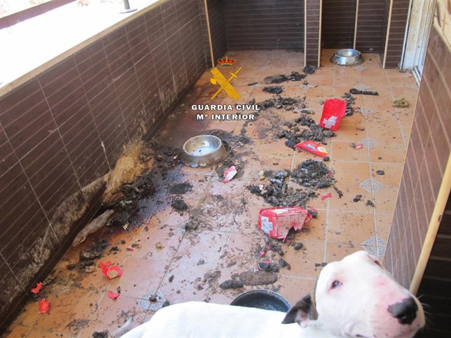 Edificio en estado de abandono