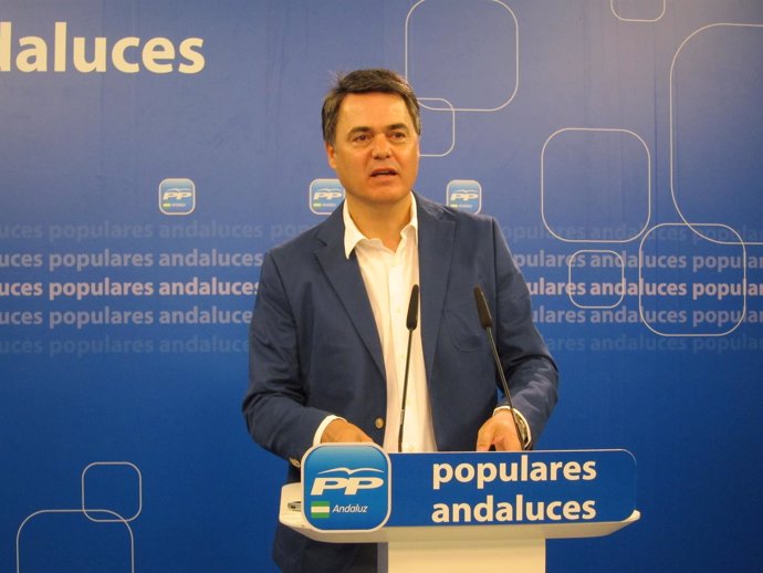 El portavoz del PP en el Parlamento de Andalucía, Carlos Rojas