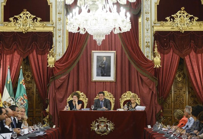 Pleno extraordinario de la Diputación de Cádiz