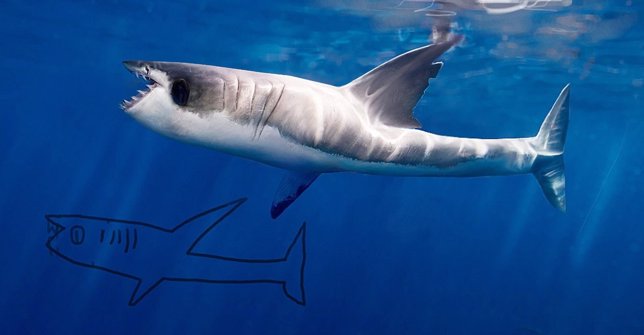 El artista Telmo Pieper reinventa sus garabatos de un tiburón
