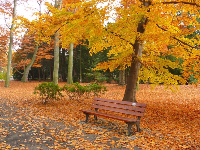 Lista de 24 planes para hacer cuando empieza el otoño