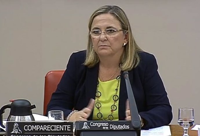 La presidenta del ICO, Irene Garrido, en el Congreso