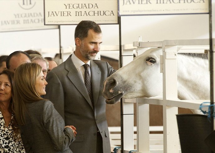 Reina Letizia Rey Felipe VI