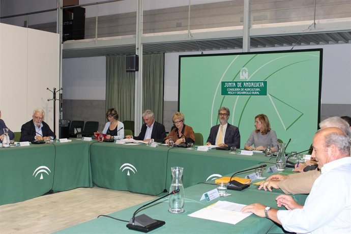Reunión entre Junta y productores de aceituna de mesa.