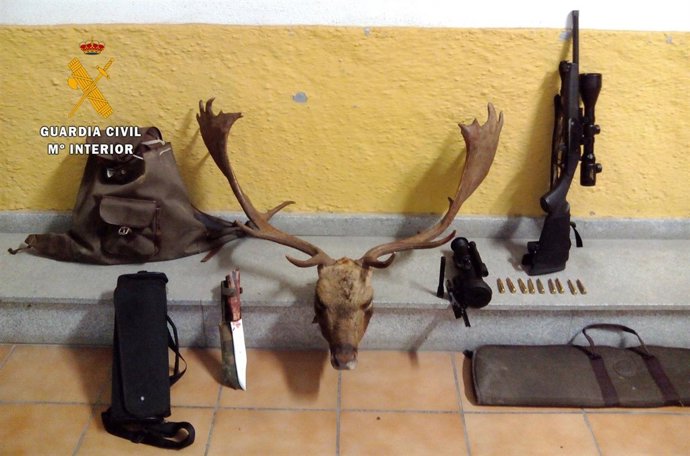 Cabeza de gamo abatido por un furtivo en Llerena