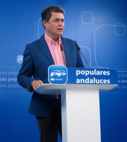 Carlos Rojas en rueda de prensa en el PP-A