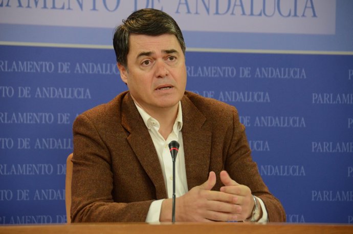 Carlos Rojas, portavoz del PP-A en el Parlamento