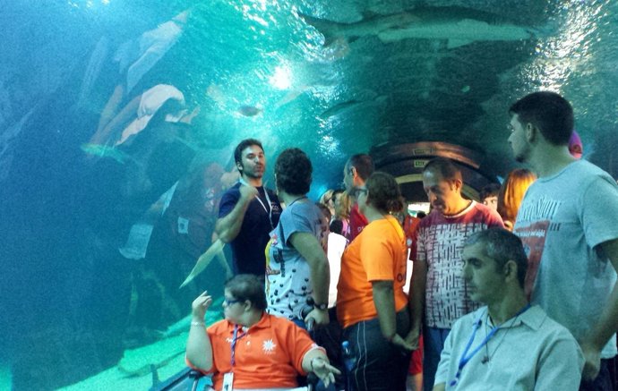 Participantes en el programa 'Sensaciones Marinas' de L'Oceanogràfic.